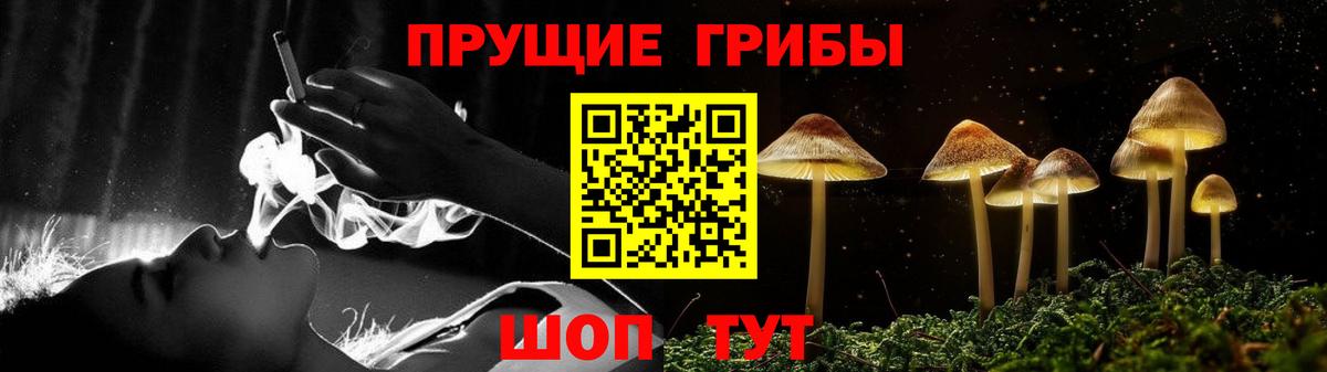 Галлюциногенные грибы прущие грибы  Вход с VPN  Псилоцибиновые грибы Magic Shrooms  Ярцево 